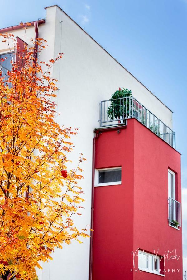 Luxurious, Lovely And Romantic Apartment In Tábor Kültér fotó